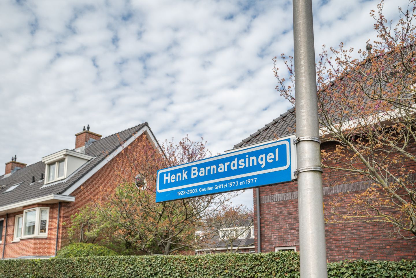 Foto 55 van Henk Barnardsingel 10
