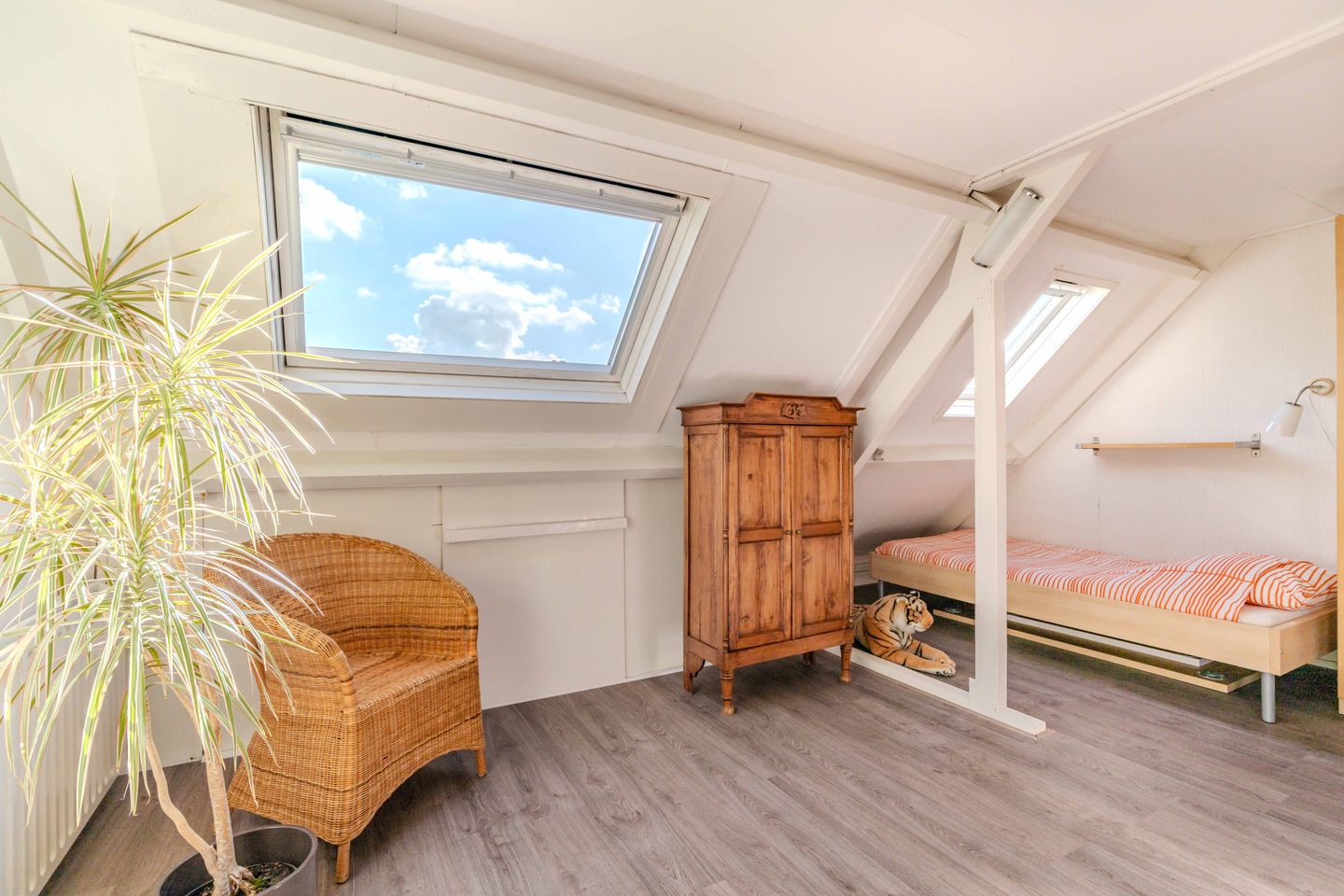 Foto 35 van Hélder Câmarastraat 27