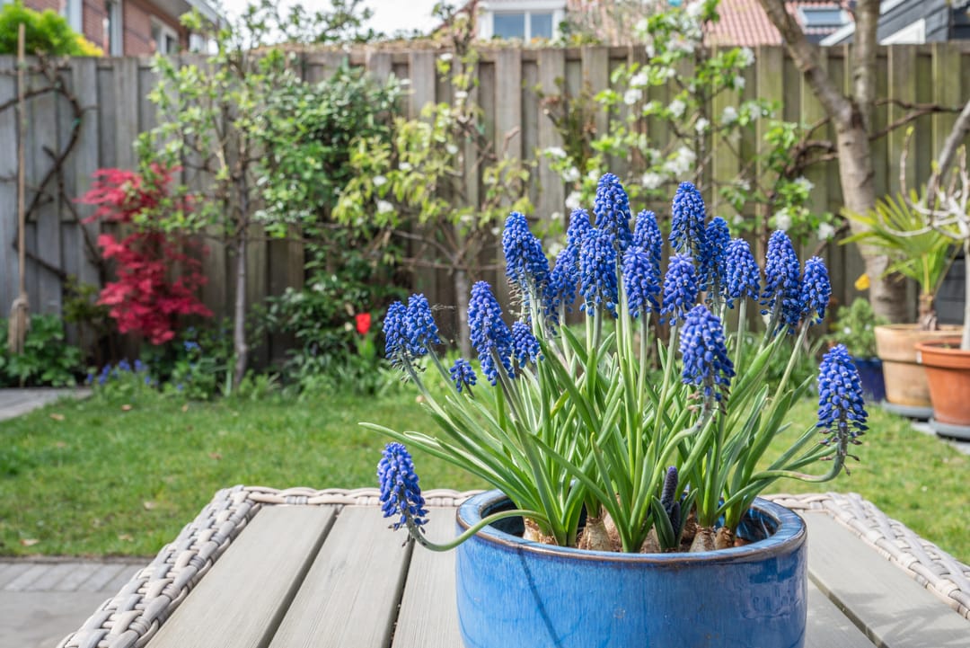 Foto 53 van Henk Barnardsingel 10