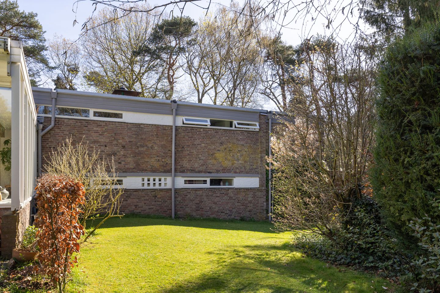 Foto 50 van Lassuslaan 60