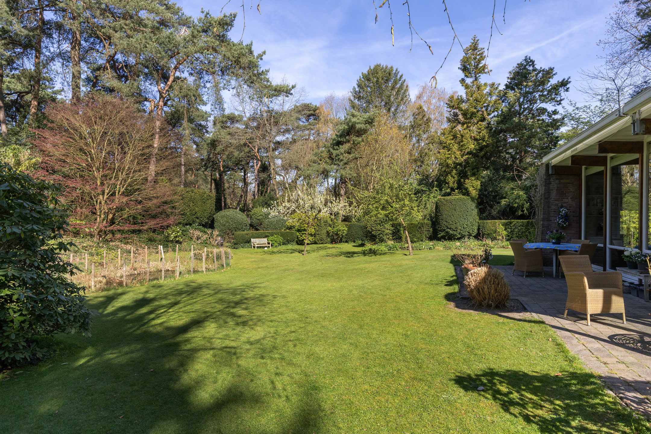 Foto 36 van Lassuslaan 60