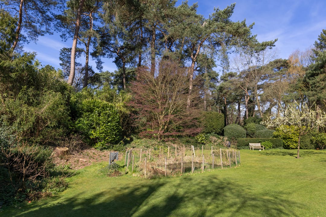 Foto 37 van Lassuslaan 60