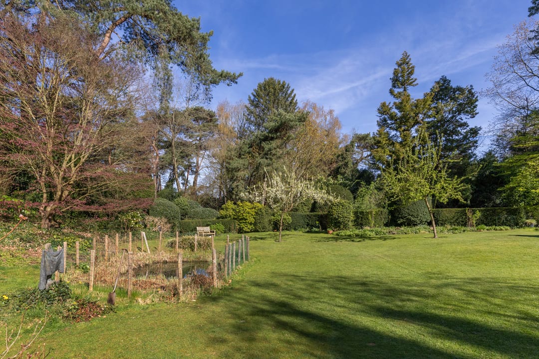 Foto 38 van Lassuslaan 60