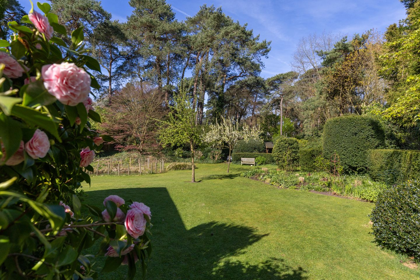 Foto 40 van Lassuslaan 60