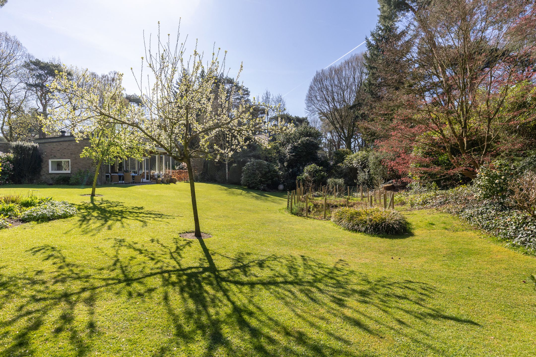 Foto 45 van Lassuslaan 60