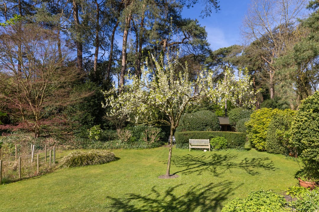 Foto 43 van Lassuslaan 60