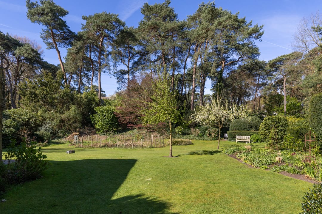 Foto 41 van Lassuslaan 60