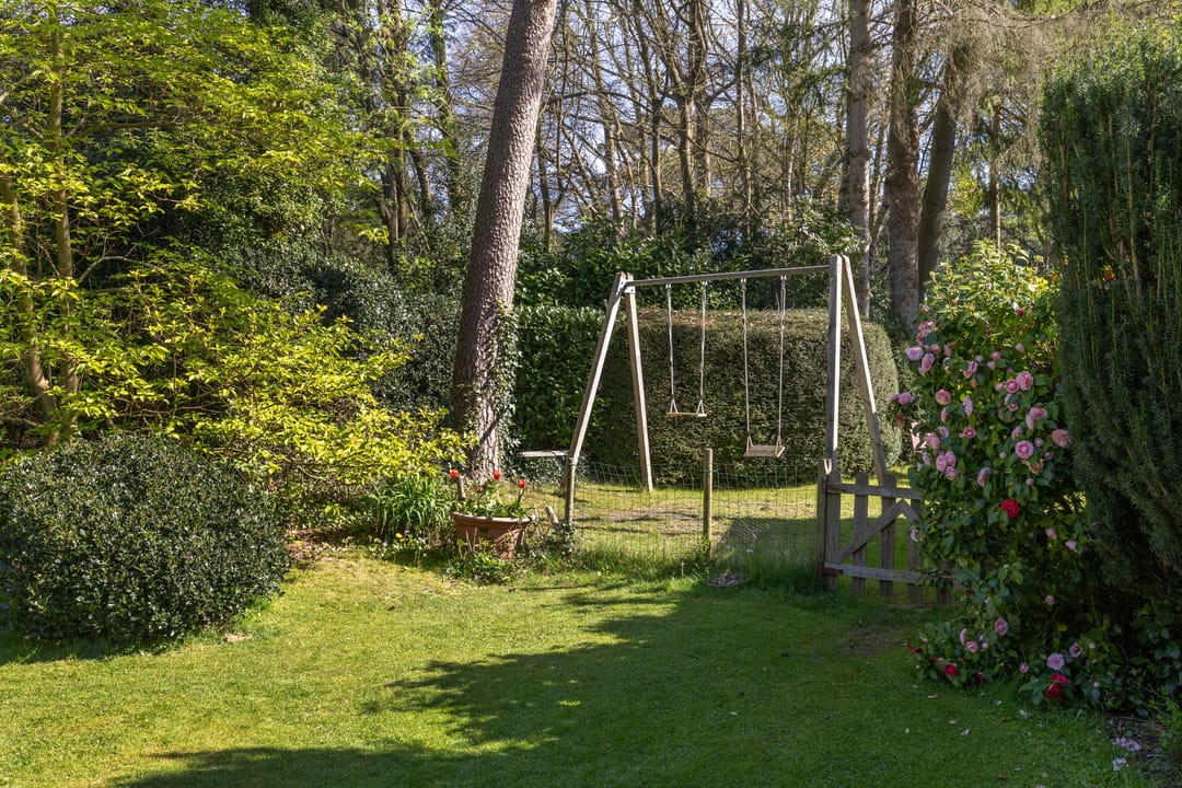 Foto 52 van Lassuslaan 60