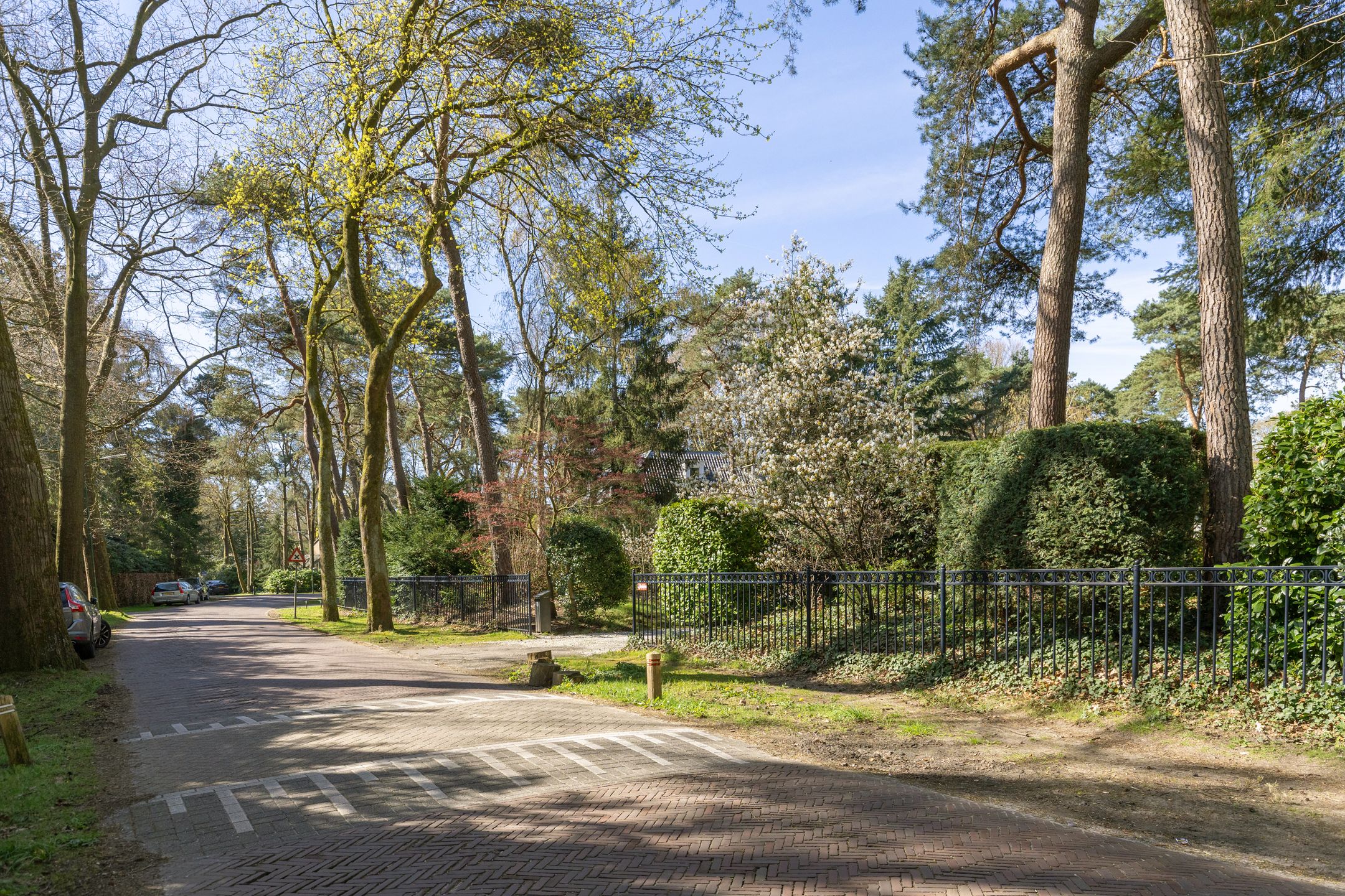 Foto 57 van Lassuslaan 60