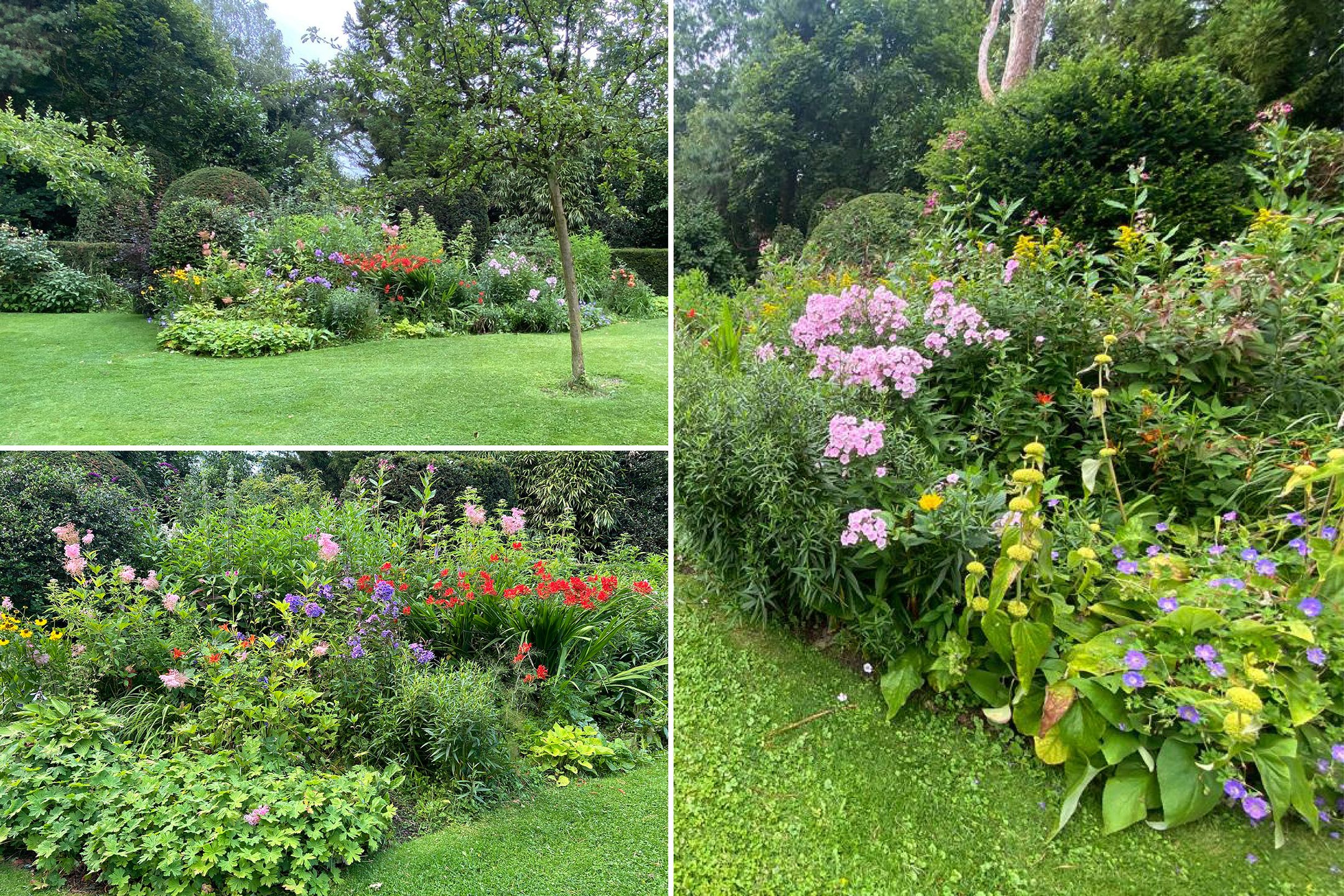 Foto 51 van Lassuslaan 60