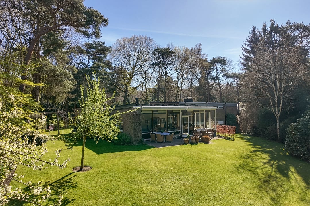 Foto 46 van Lassuslaan 60