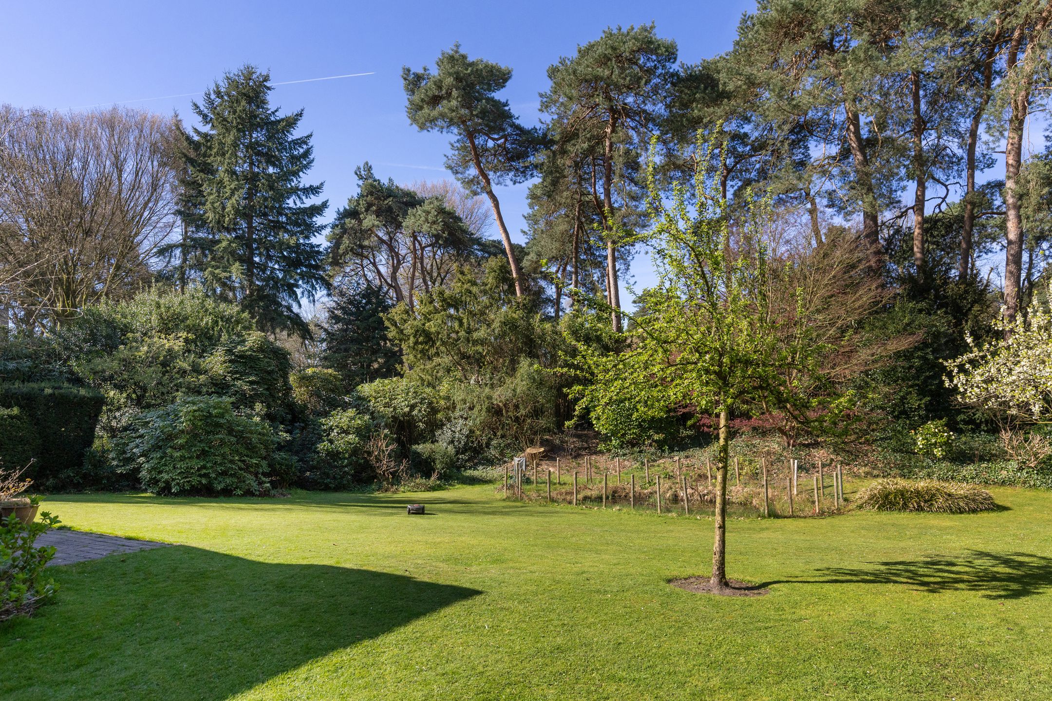 Foto 42 van Lassuslaan 60