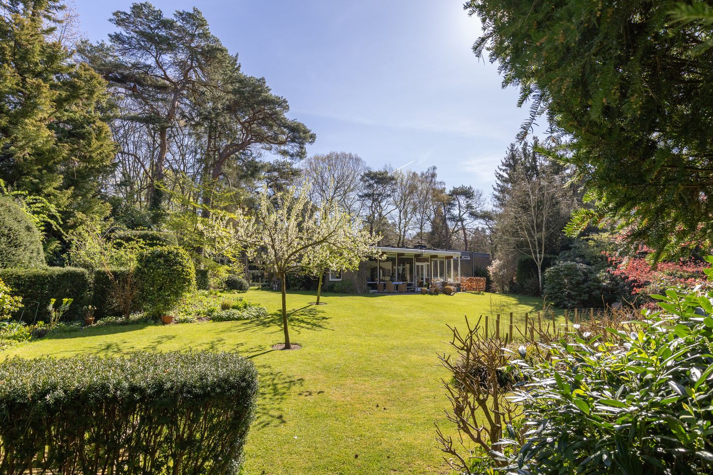 Foto 44 van Lassuslaan 60