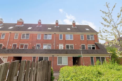 Jachthoorn thumbnail