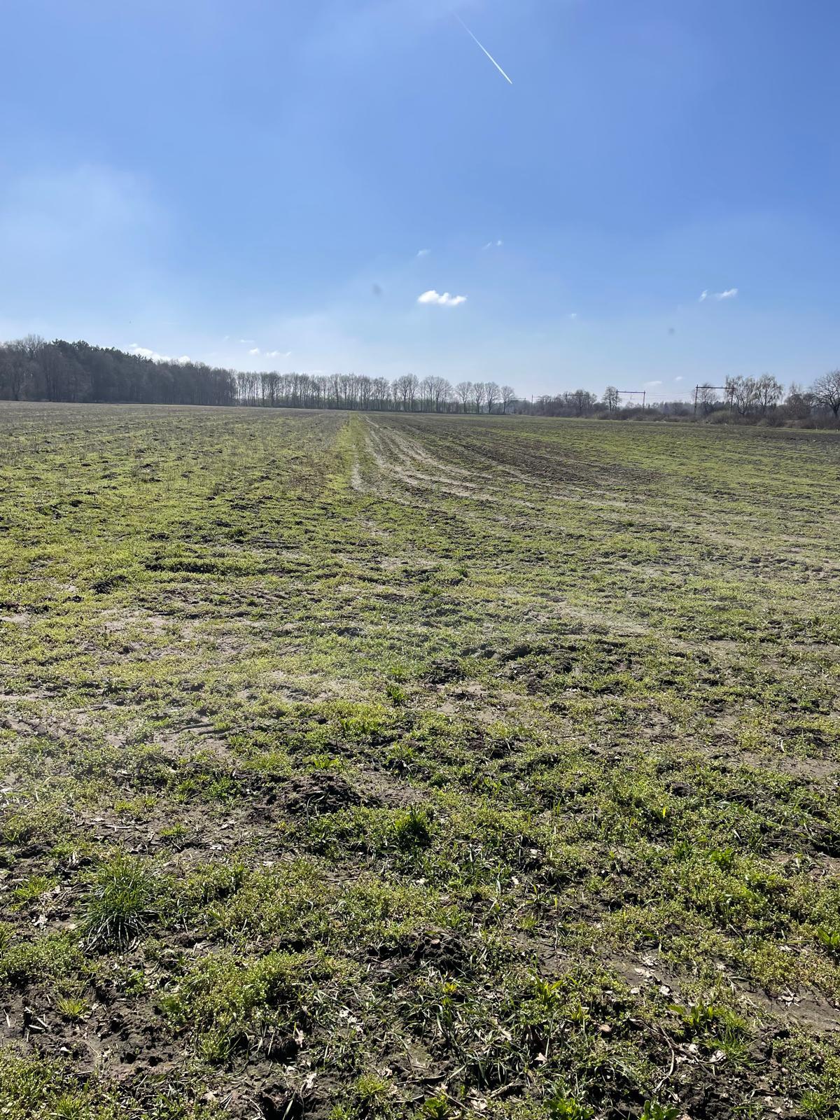 Jagerstraat - Taarlo - Afbeelding 4