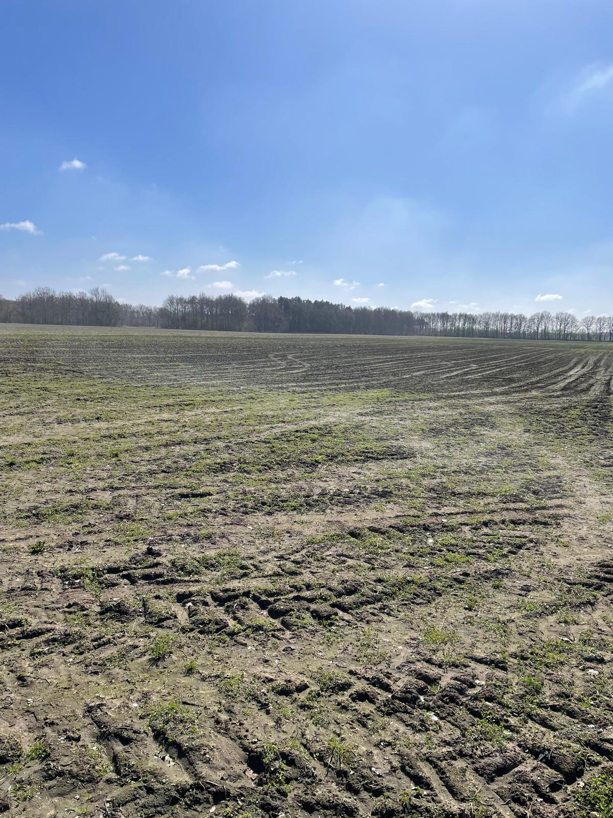 Jagerstraat - Taarlo - Afbeelding 5