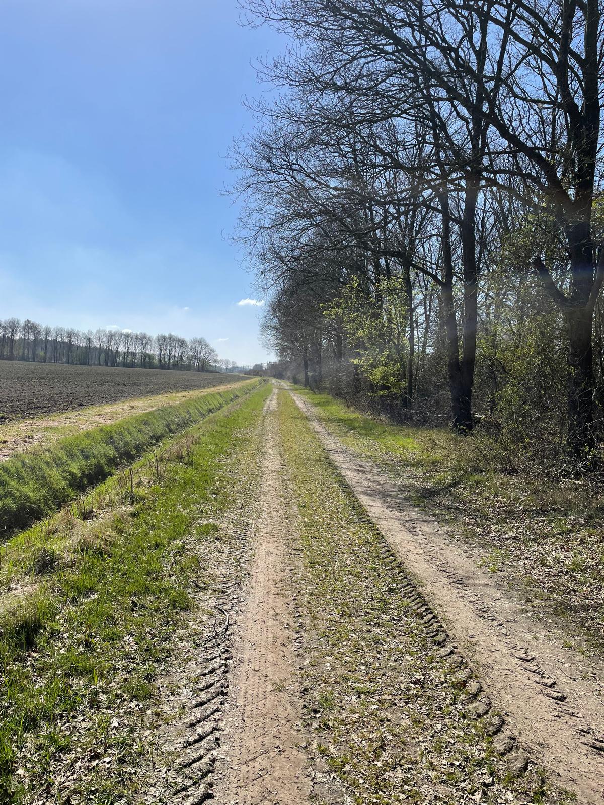 Jagerstraat - Taarlo - Afbeelding 7