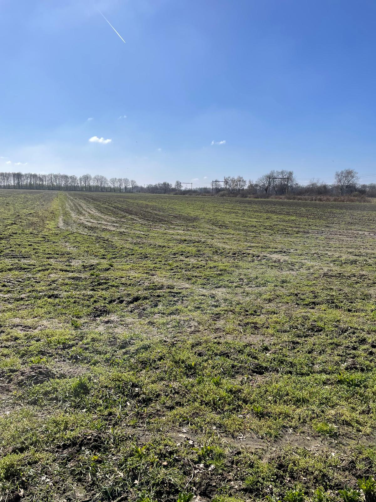 Jagerstraat - Taarlo - Afbeelding 3