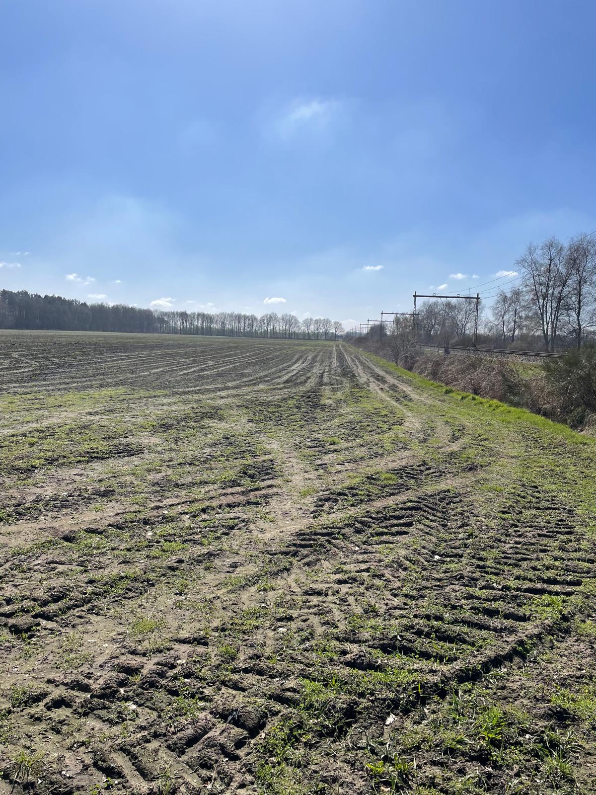 Jagerstraat - Taarlo - Afbeelding 6