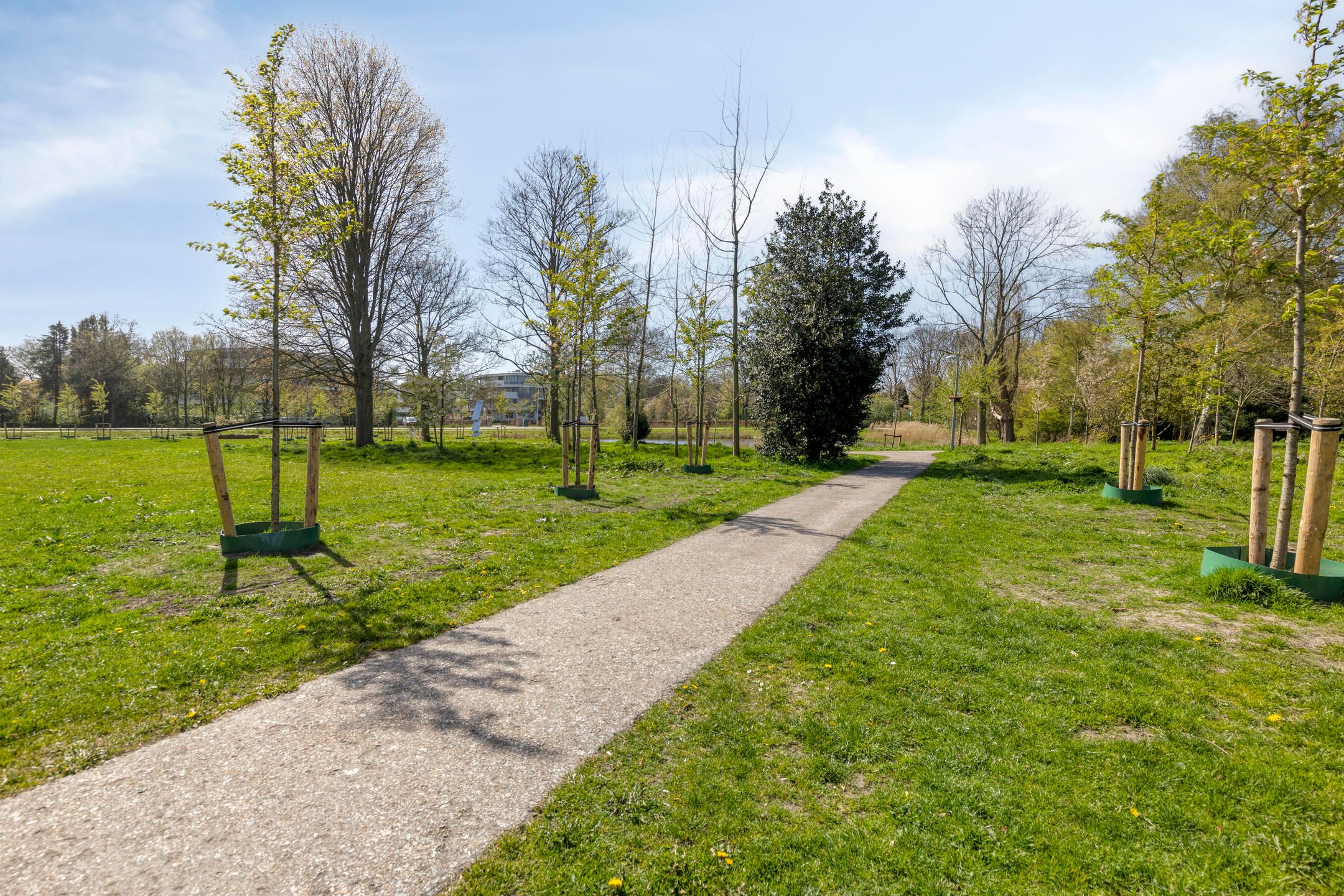 Foto 36 van Emmalaan 34