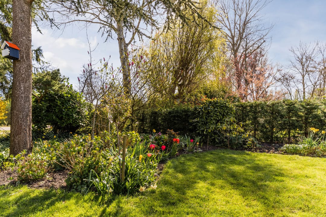 Foto 52 van Kievit 7