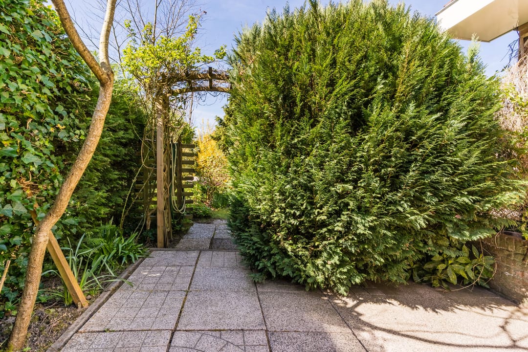 Foto 62 van Kievit 7