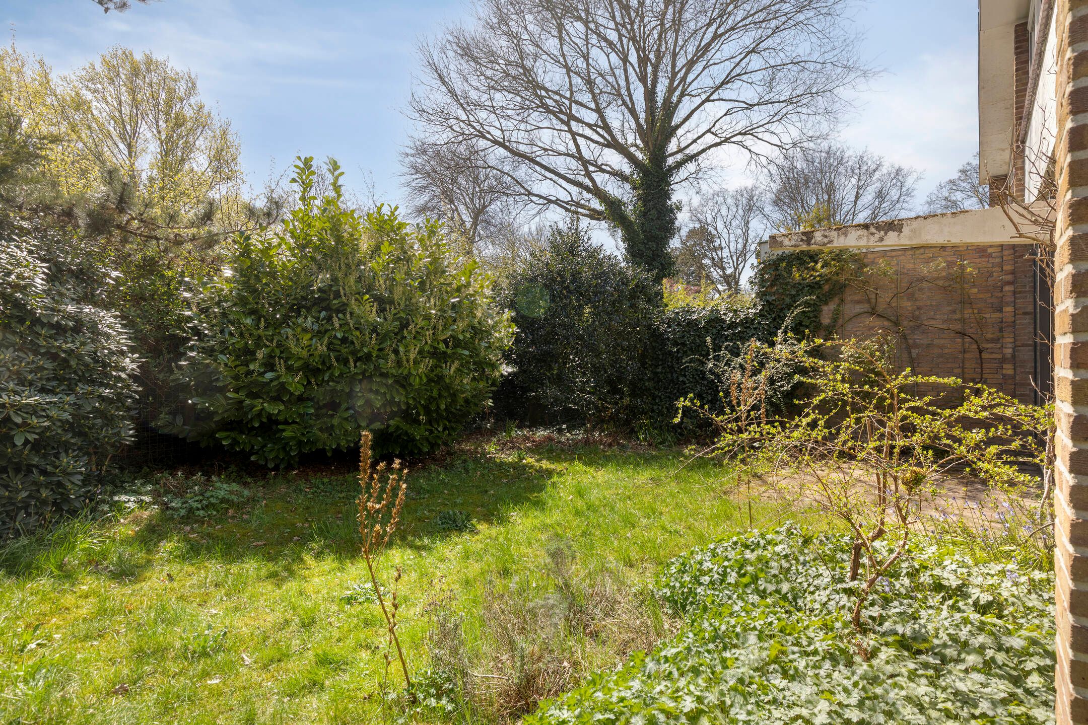 Foto 30 van Emmalaan 34