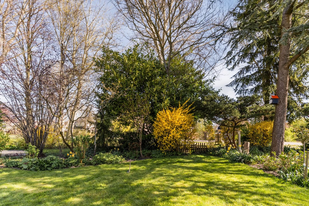 Foto 53 van Kievit 7