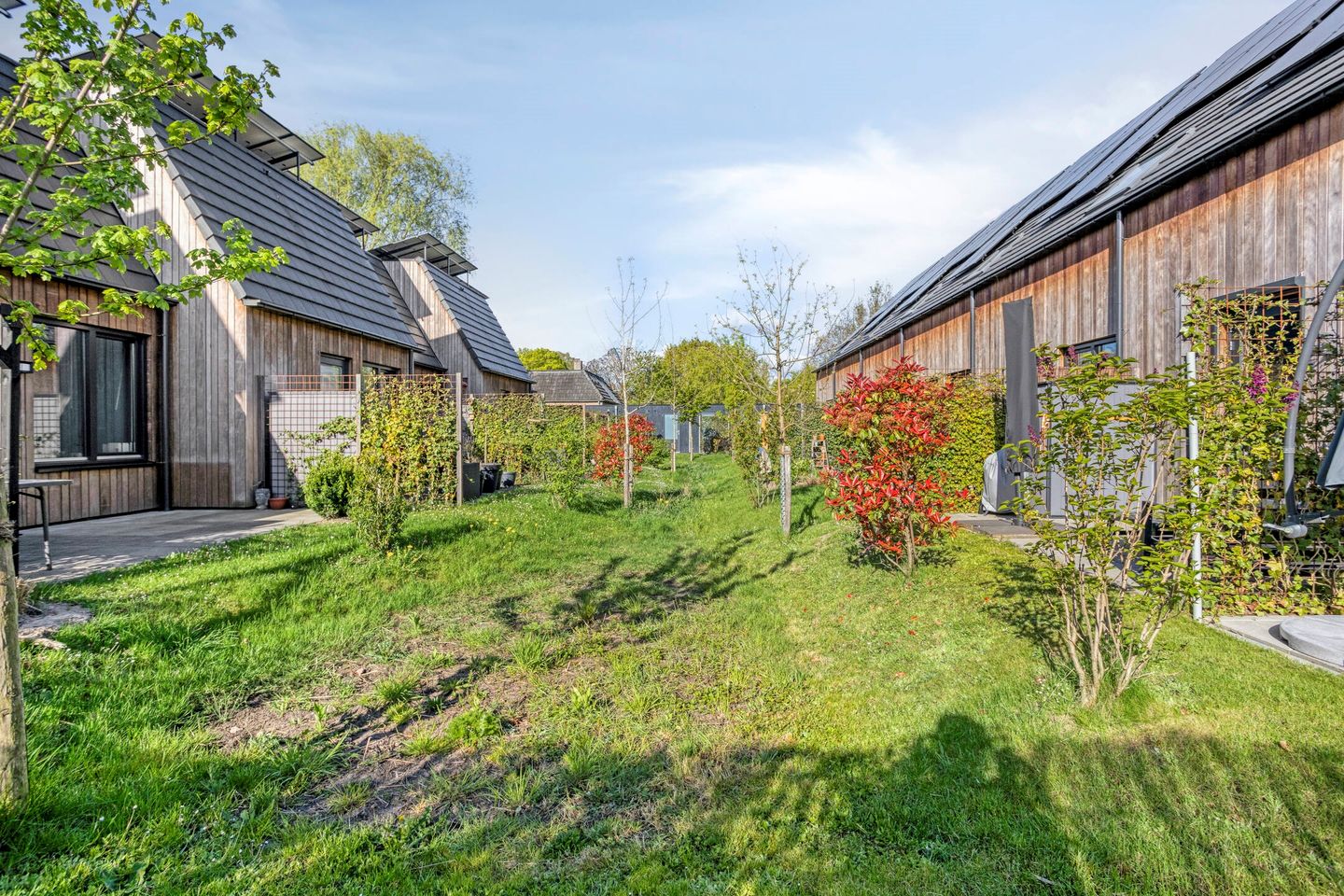 Foto 34 van Rietgors 29