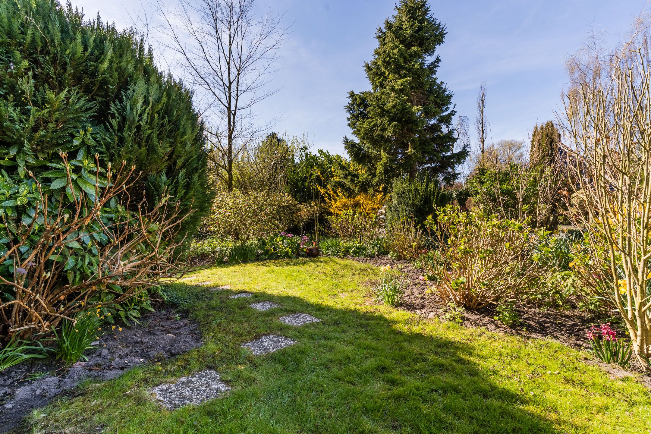 Foto 63 van Kievit 7