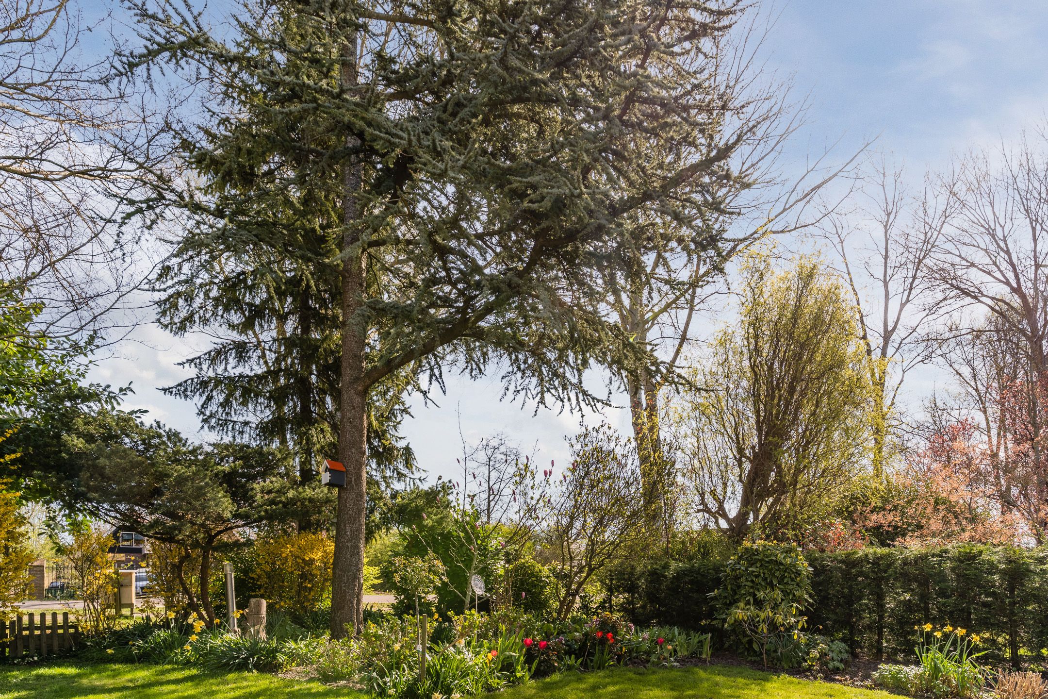 Foto 54 van Kievit 7