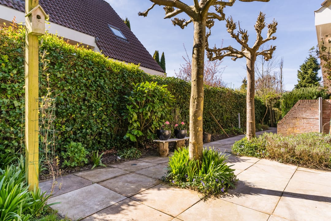 Foto 58 van Kievit 7