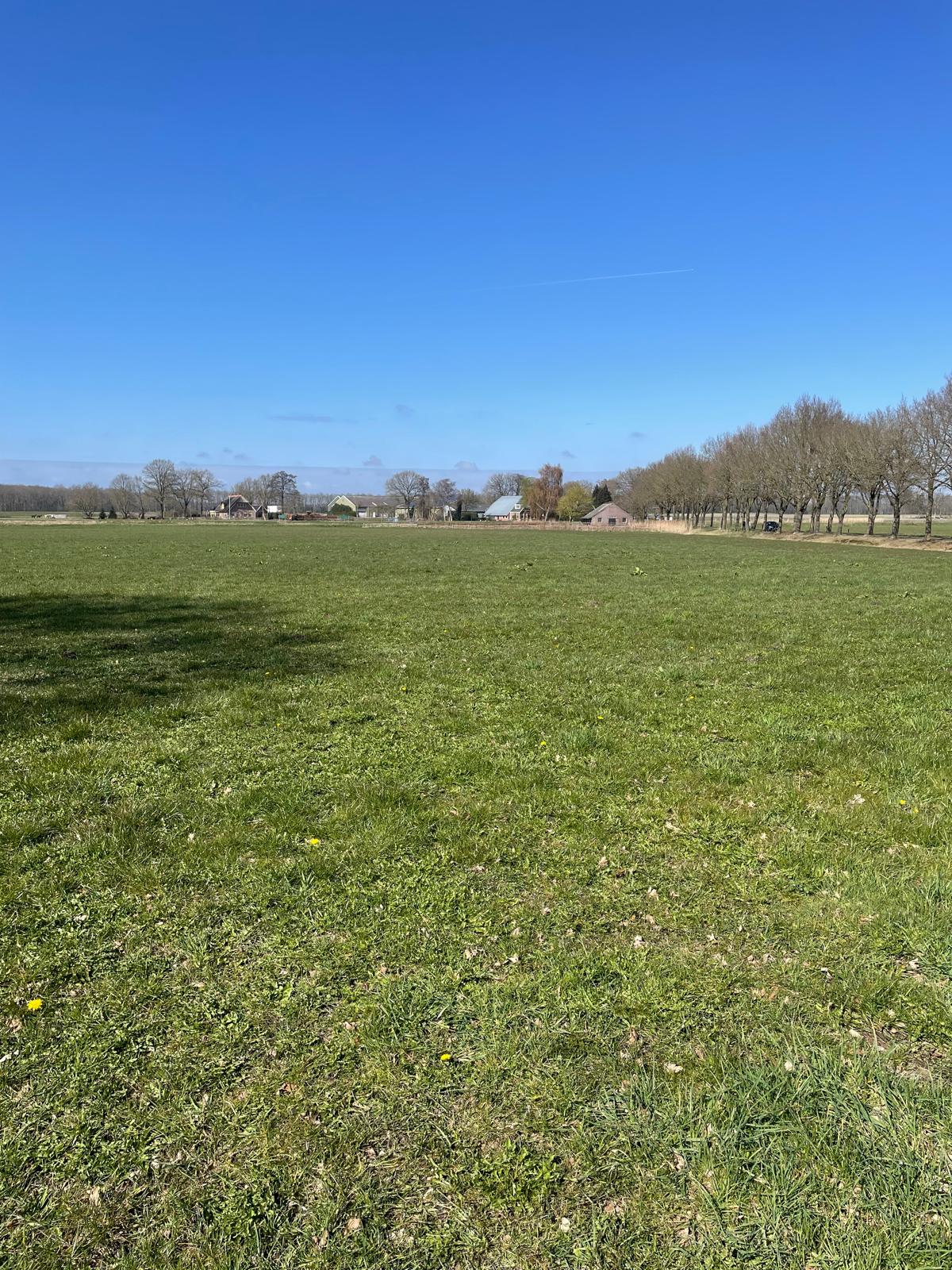 Vrieserweg - Loon - Afbeelding 6