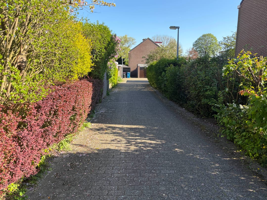 Photo 7 of Petronella Voutestraat