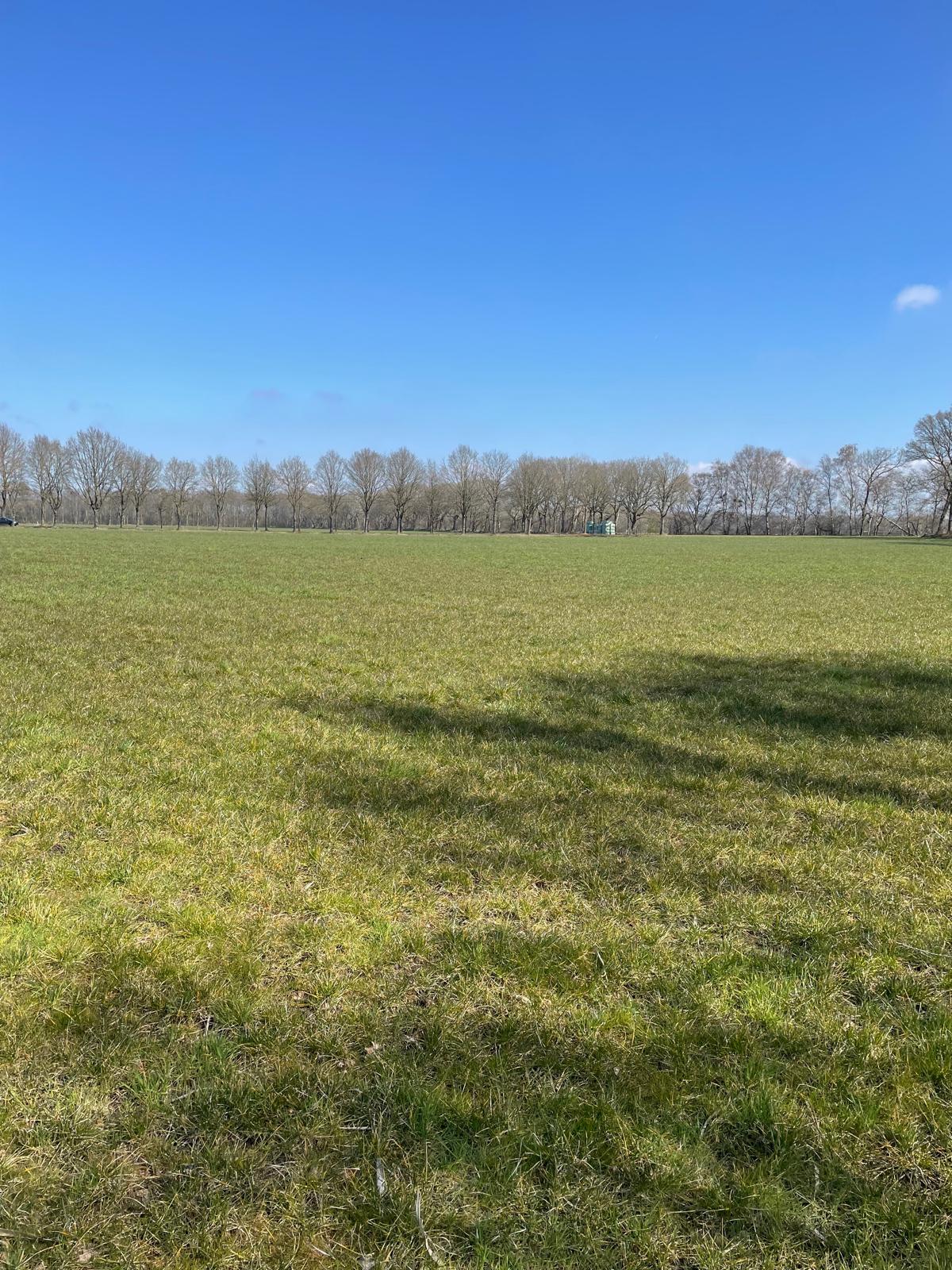 Vrieserweg - Loon - Afbeelding 3