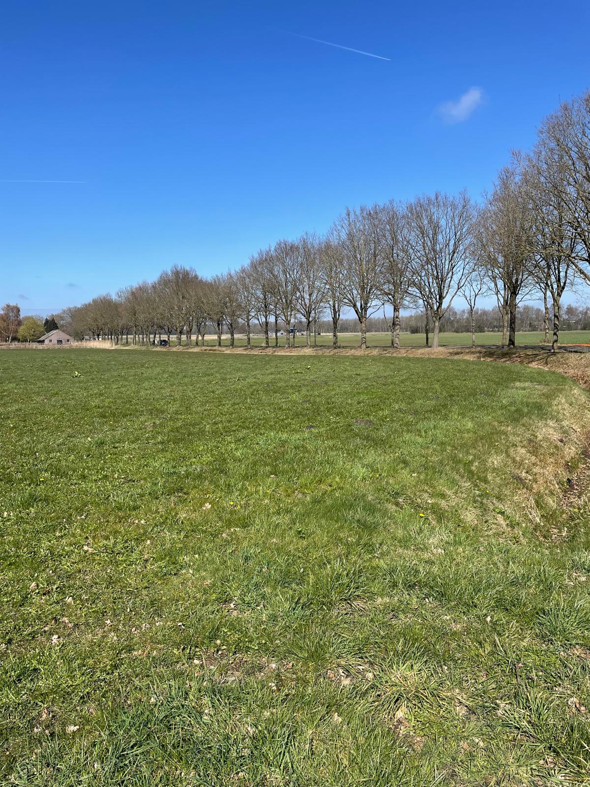 Vrieserweg - Loon - Afbeelding 4