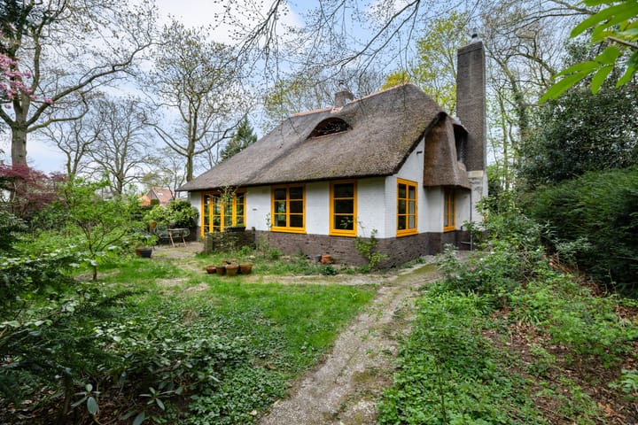 Foto 3 van Bartolottilaan 1