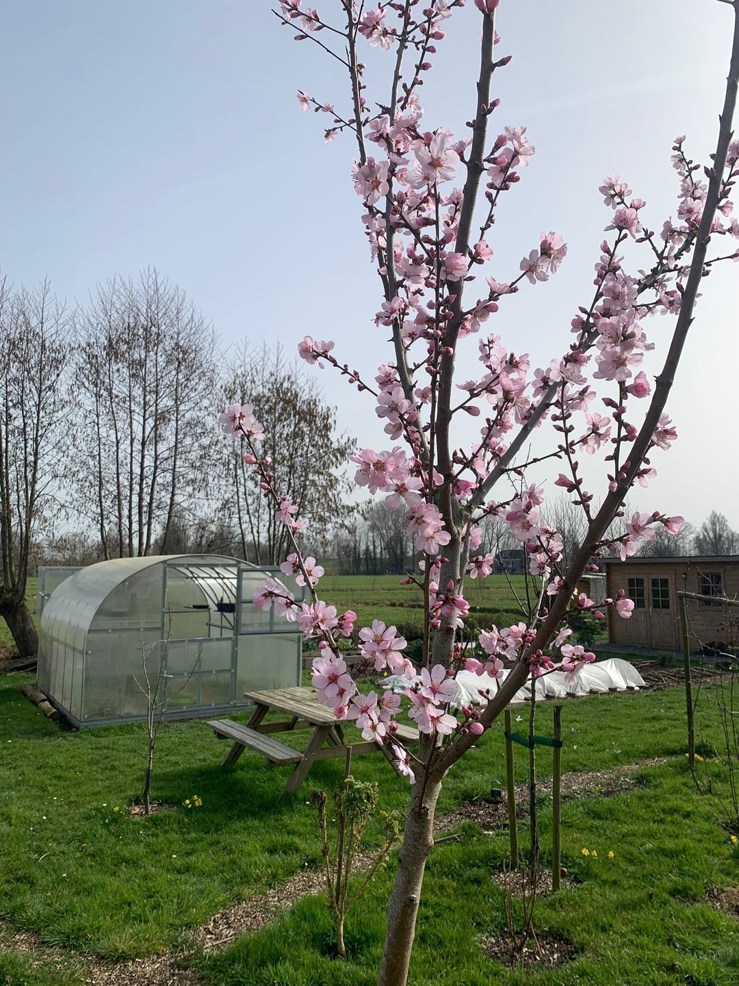 Foto 13 van Broekselaantje