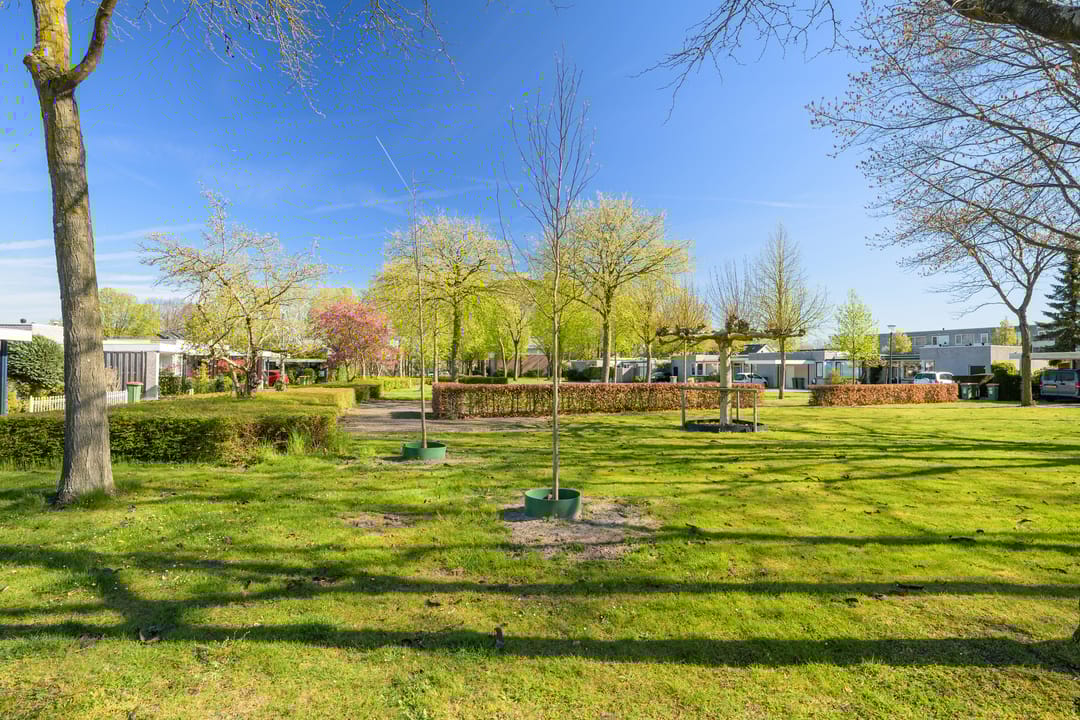 Foto 37 van Jabbekeplantsoen 12