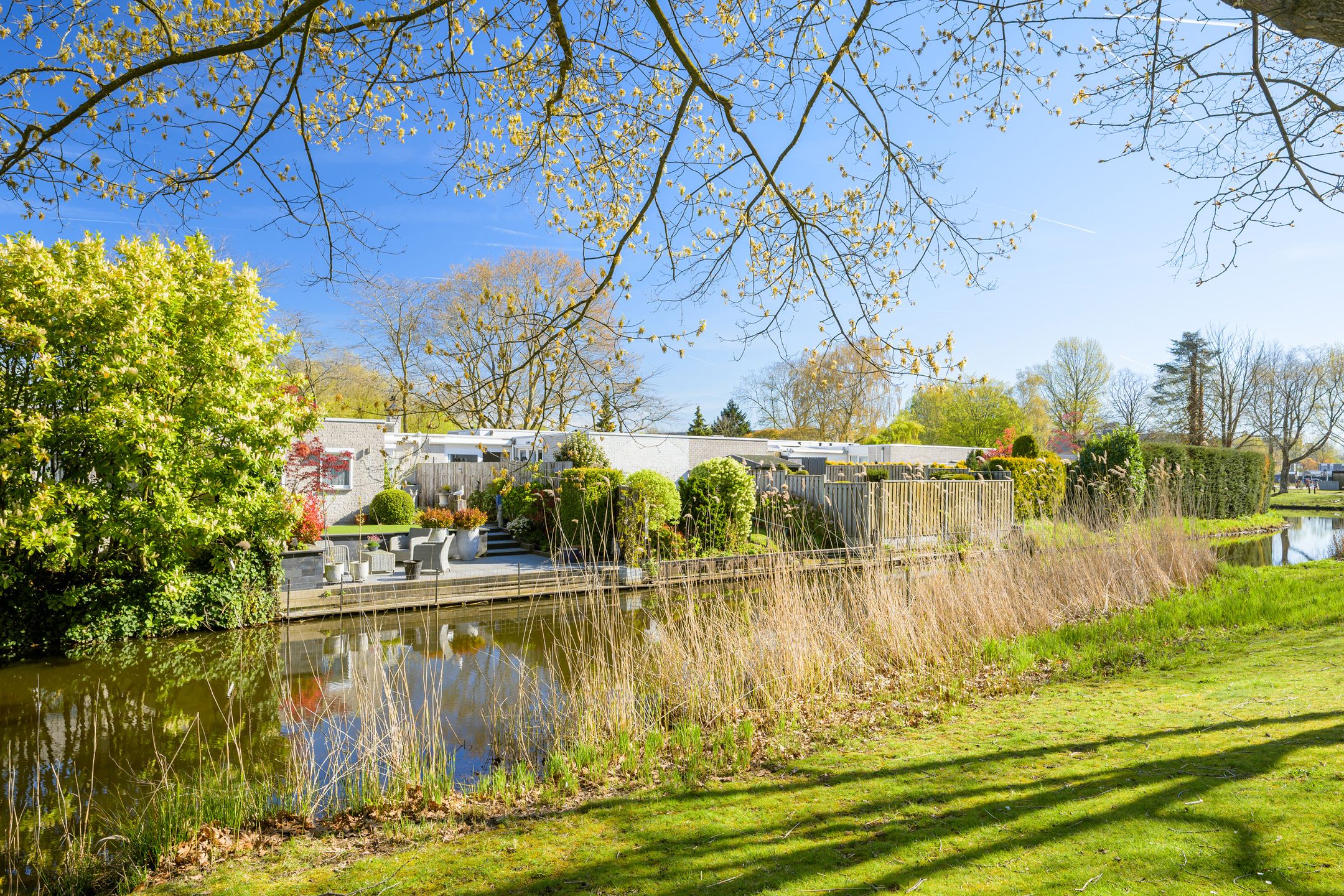 Foto 33 van Jabbekeplantsoen 12