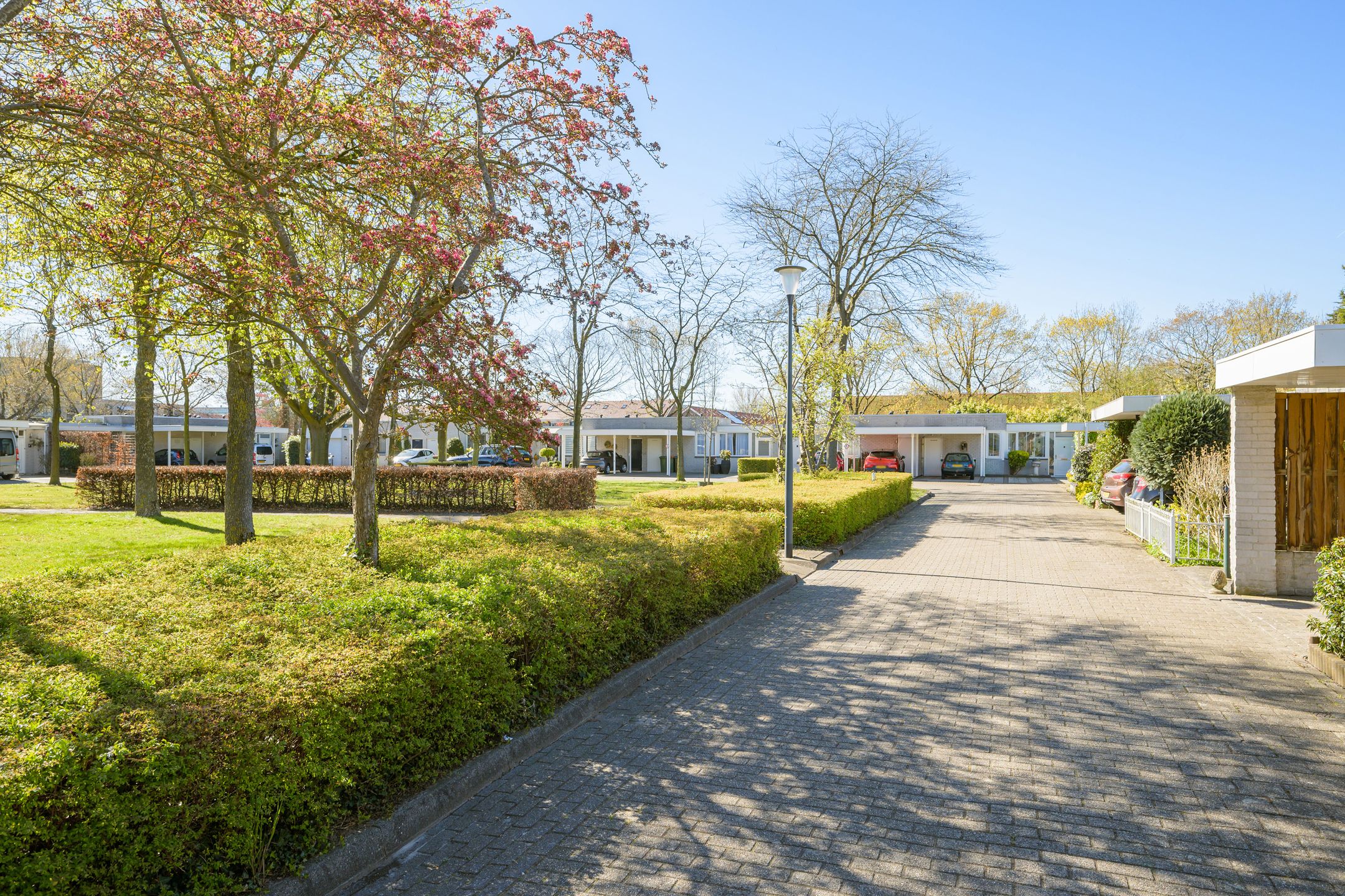 Foto 39 van Jabbekeplantsoen 12