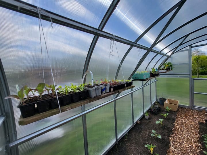 Foto 5 van Broekselaantje