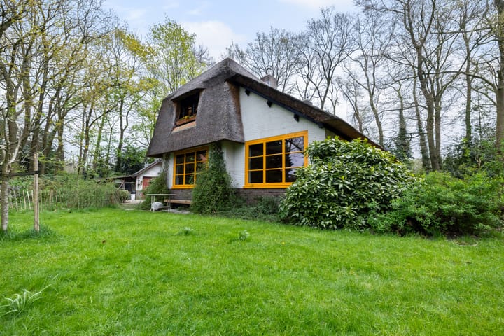 Foto 4 van Bartolottilaan 1