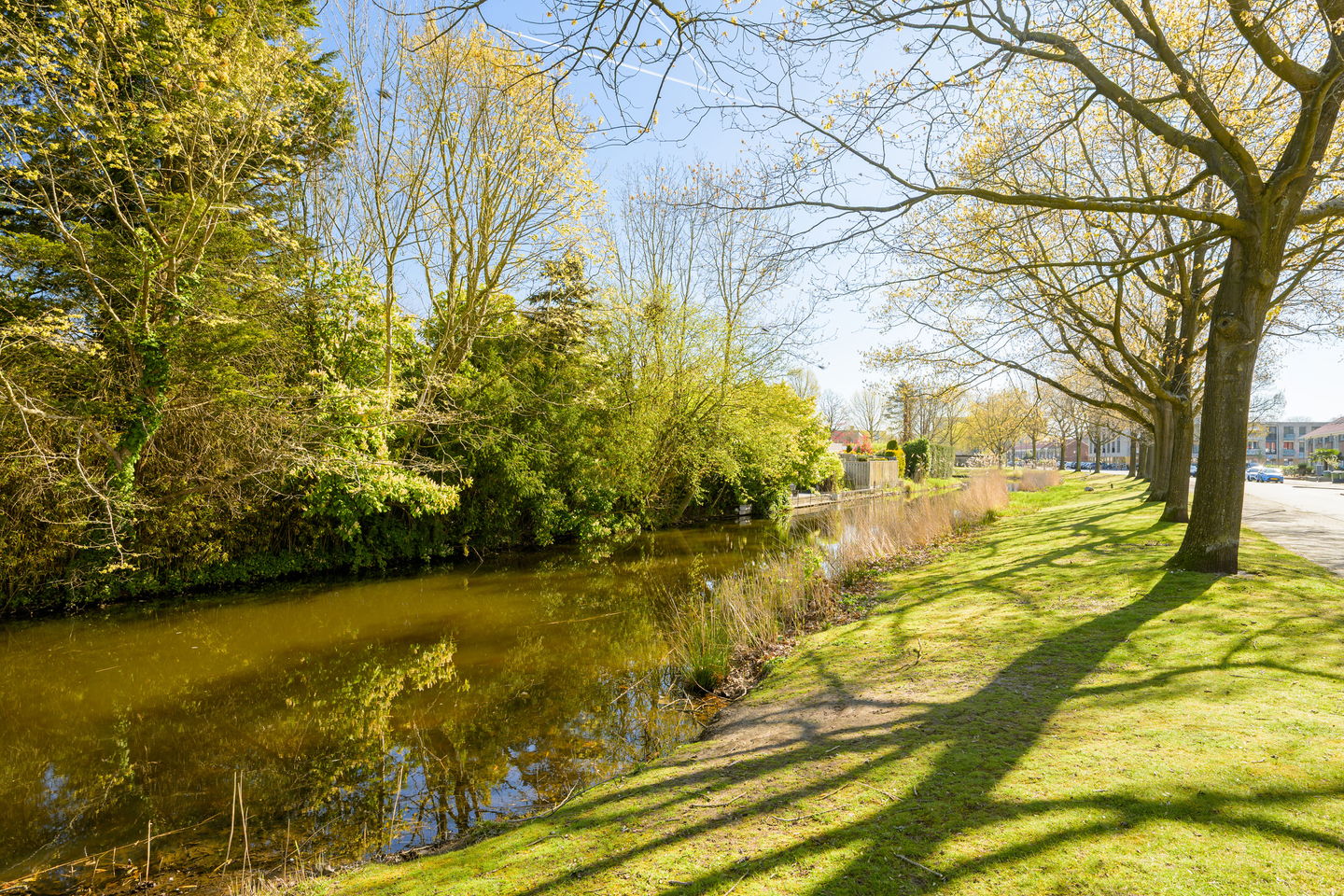 Foto 35 van Jabbekeplantsoen 12