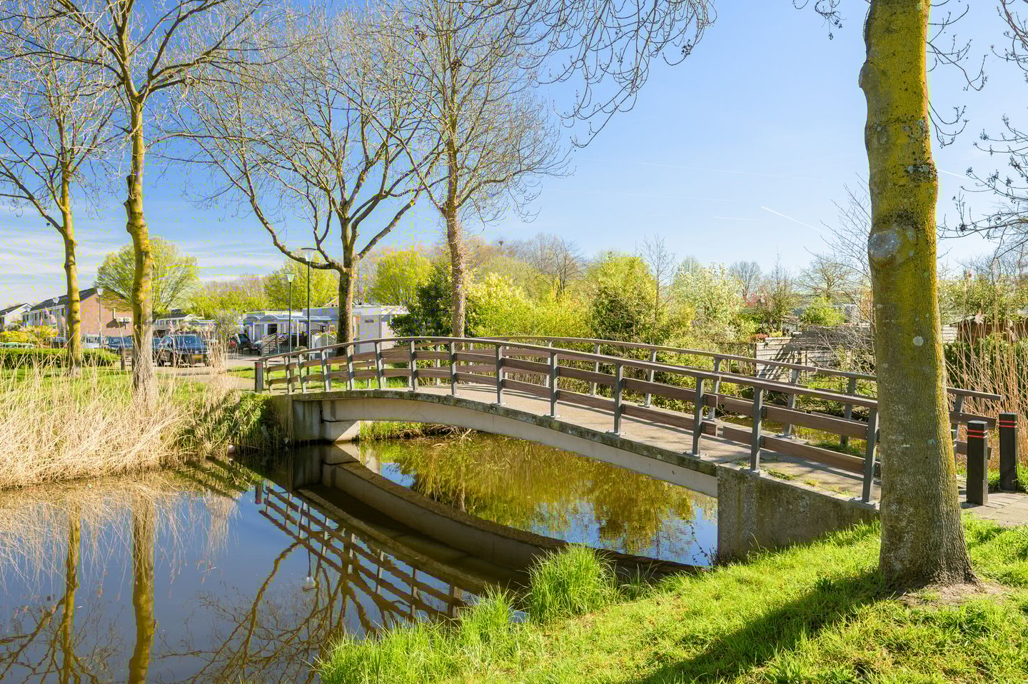 Foto 34 van Jabbekeplantsoen 12