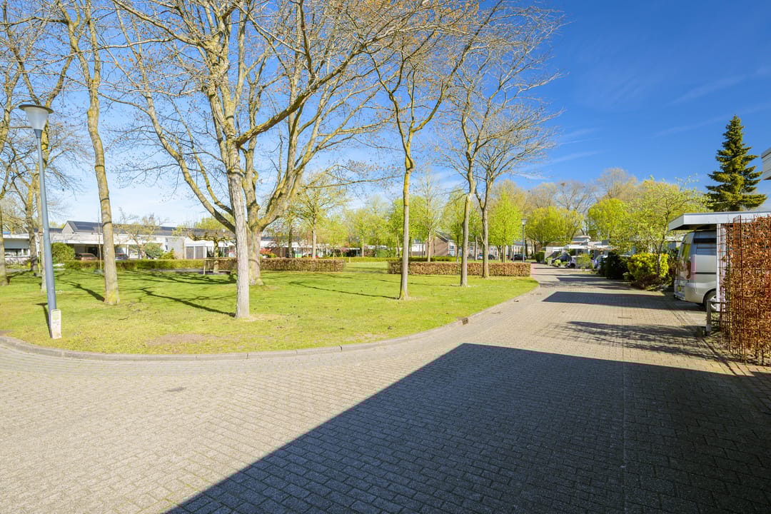 Foto 41 van Jabbekeplantsoen 12