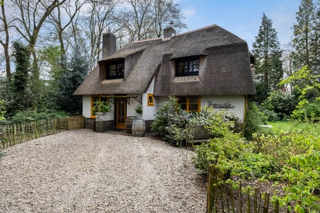 Bartolottilaan thumbnail