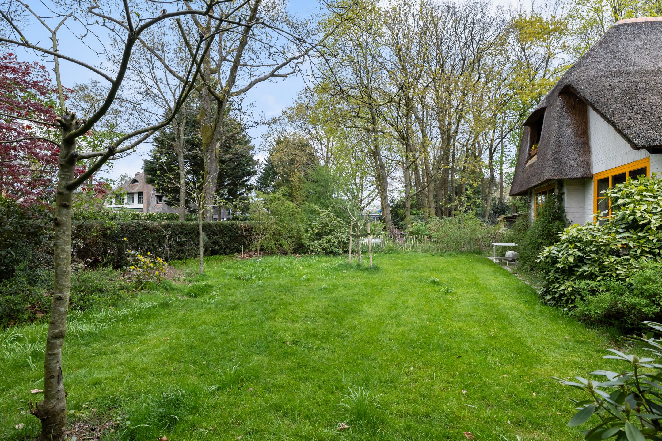 Photo 39 of Bartolottilaan 1