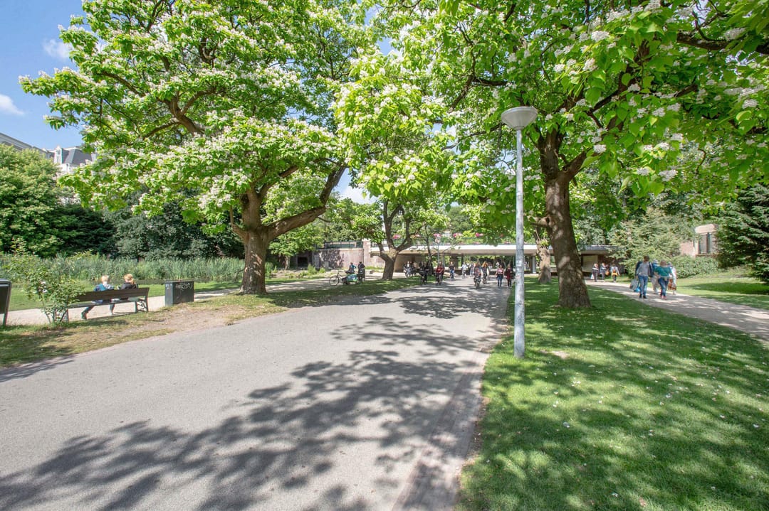 Foto 28 van Andreas Schelfhoutstraat 39-H