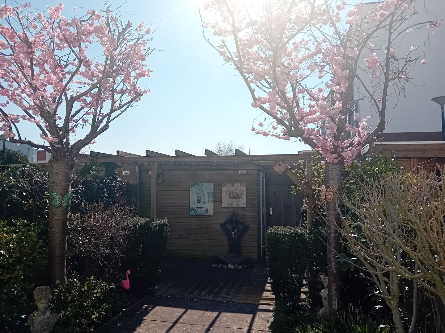 Foto 35 van Rhodoshof 3